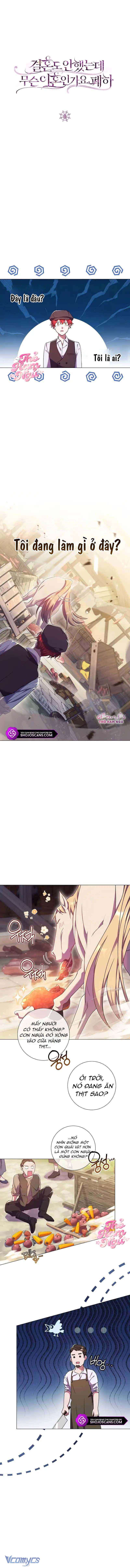 Sao Tôi Có Thể Li Hôn Khi Còn Chưa Kết Hôn Đây, Thưa Bệ Hạ Chap 6 - Trang 2