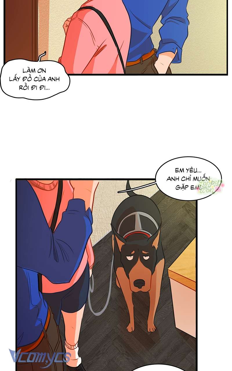 Chú Cún Dạo Bước Cùng Anh Chap 9 - Trang 2
