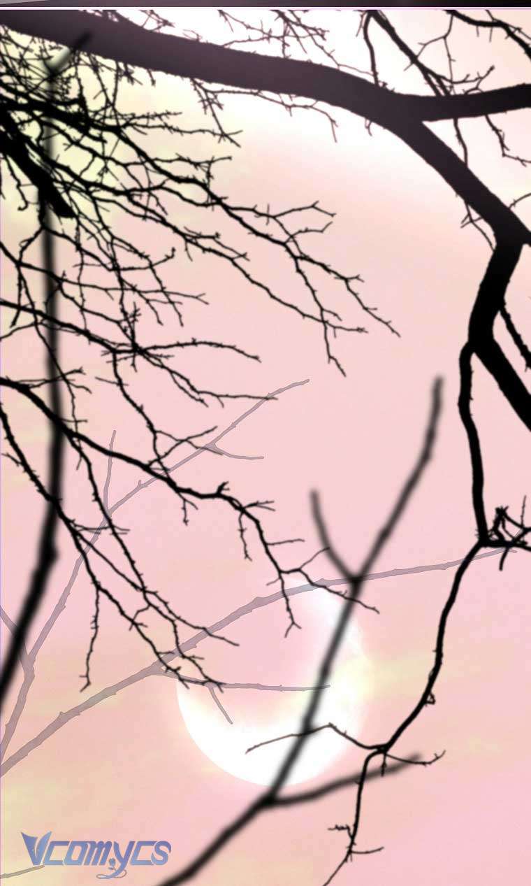 Này Boss Phản Diện, Tôi Có Thể Làm Mọi Thứ Trừ Cưới Ngài Chap 36 - Trang 4