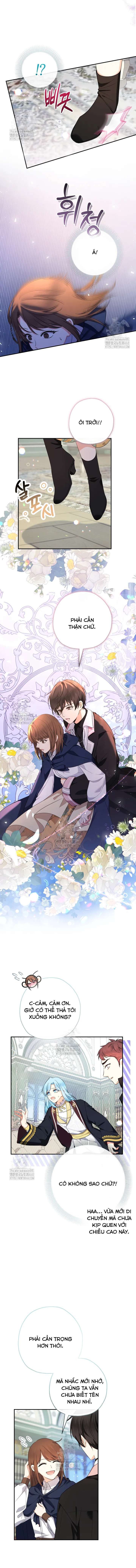 [PNT] Tiểu Thư Tích Tiền Đi Bụi Chap 95 - Trang 2