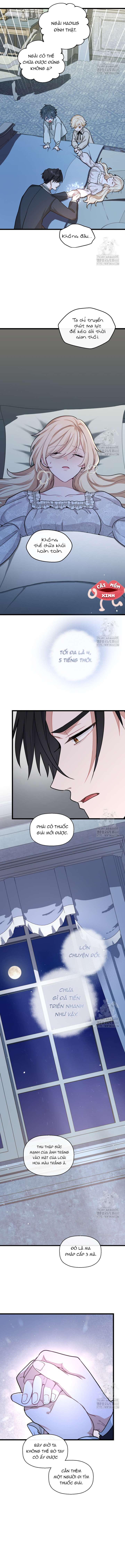 Bệ Hạ, Xin Hãy Quên Tôi Đi Chap 15 - Next Chap 16