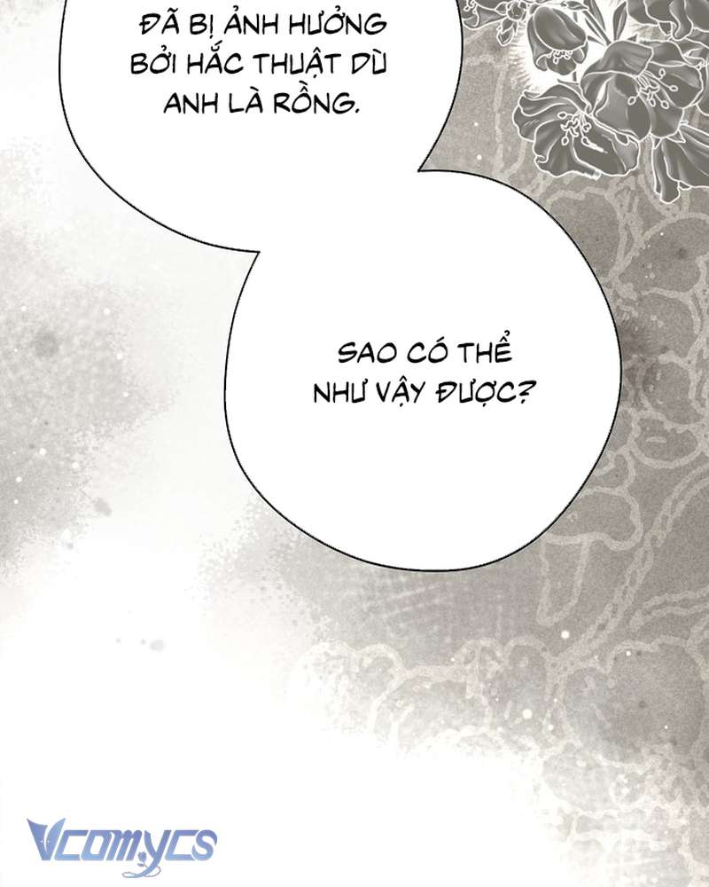 Các Nam Chính Đã Bị Nữ Phụ Cướp Mất Chap 64 - Trang 2