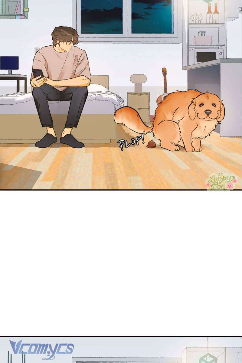 Golden Hour Chap 3 - Trang 2