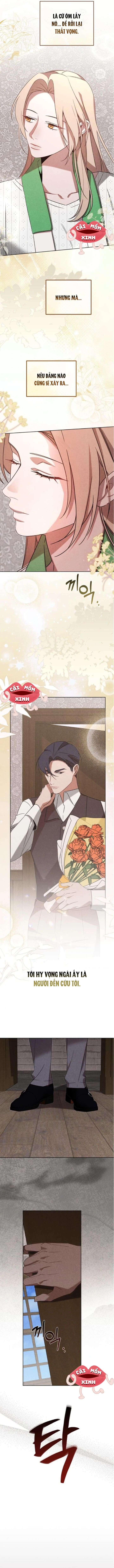 Nơi Đóa Hồng Vàng Úa Tàn Chap 19 - Next 