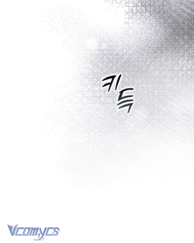 Các Nam Chính Đã Bị Nữ Phụ Cướp Mất Chap 52 - Trang 3