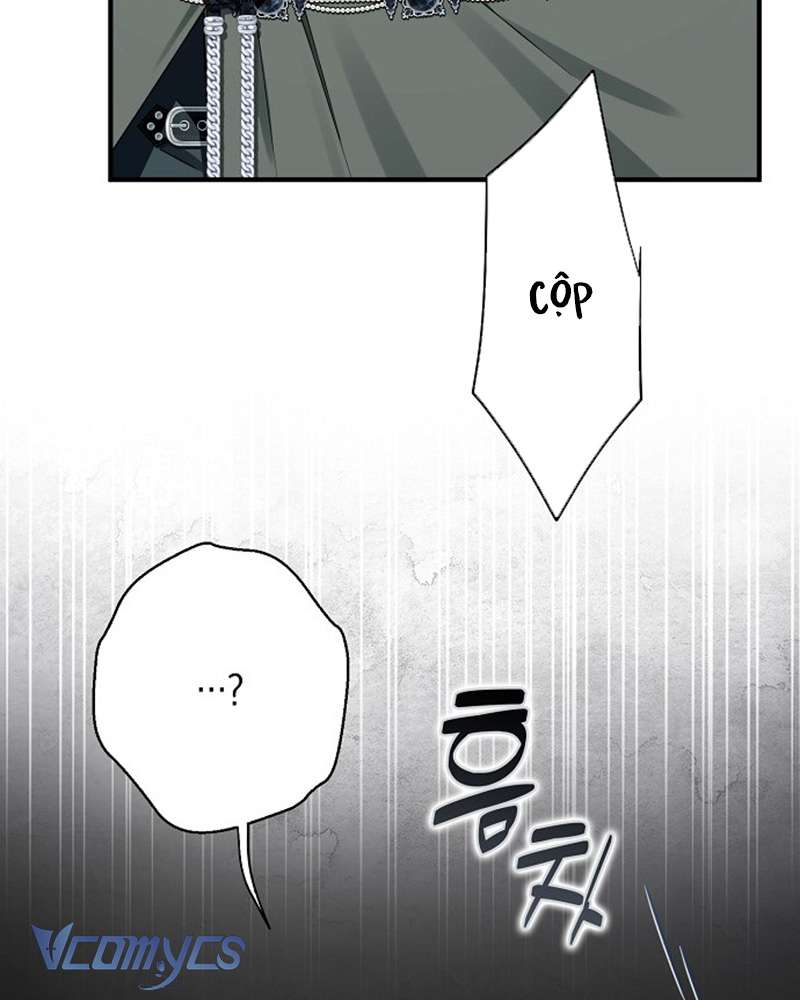 Các Nam Chính Đã Bị Nữ Phụ Cướp Mất Chap 59 - Trang 3