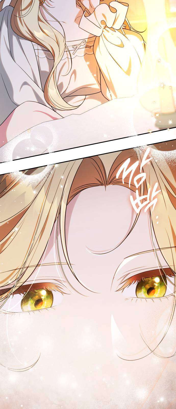 Nữ Công Tước Chiến Lợi Phẩm Chap 26 - Trang 2