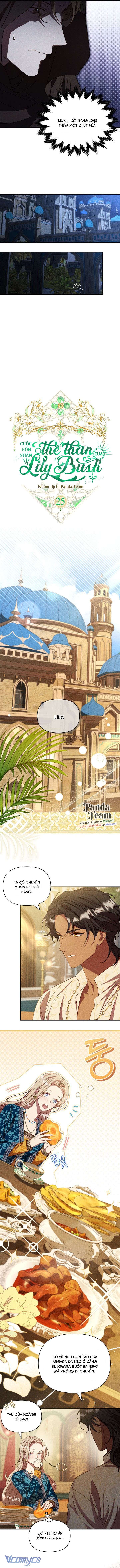 Cuộc Hôn Nhân Thế Thân Của Lily Bush Chap 25 - Trang 2