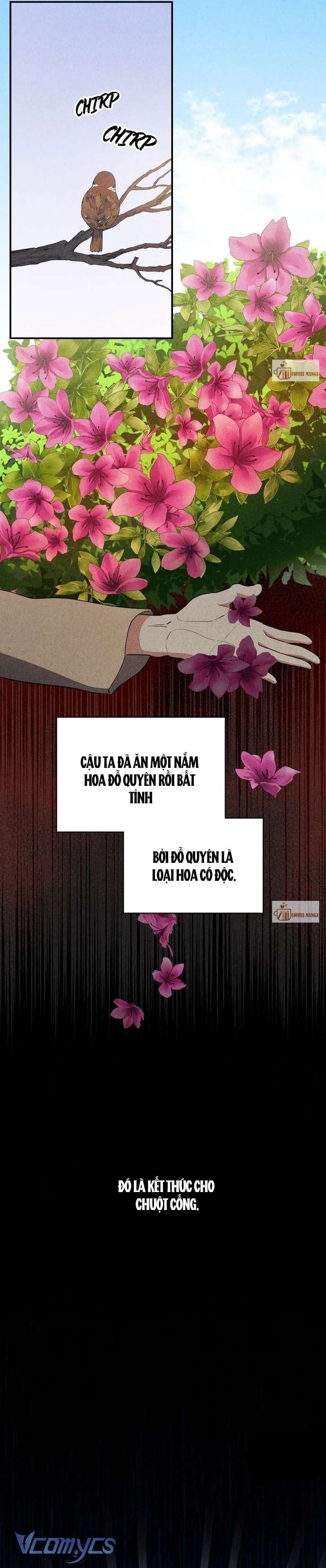 Hong Rang thân mếm Chap 18 - Trang 3