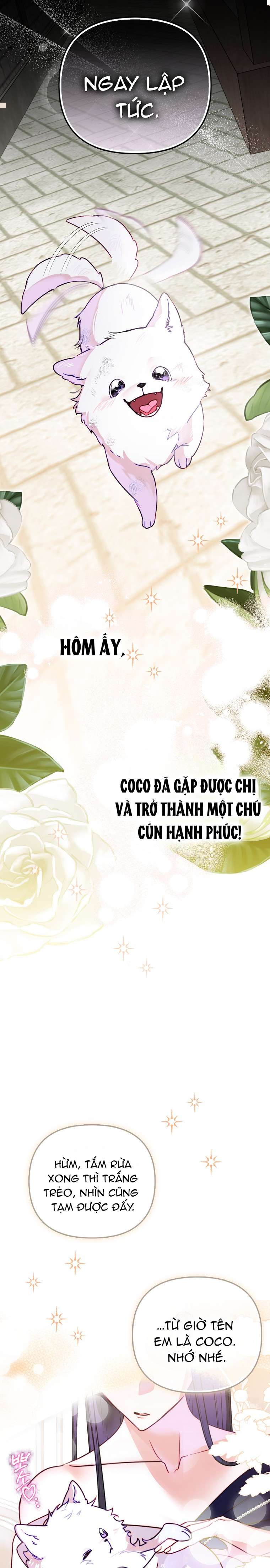 Trở Thành Cún Con Dũng Mãnh Để Cứu Người Chị Độc Ác Chap 1 - Trang 2