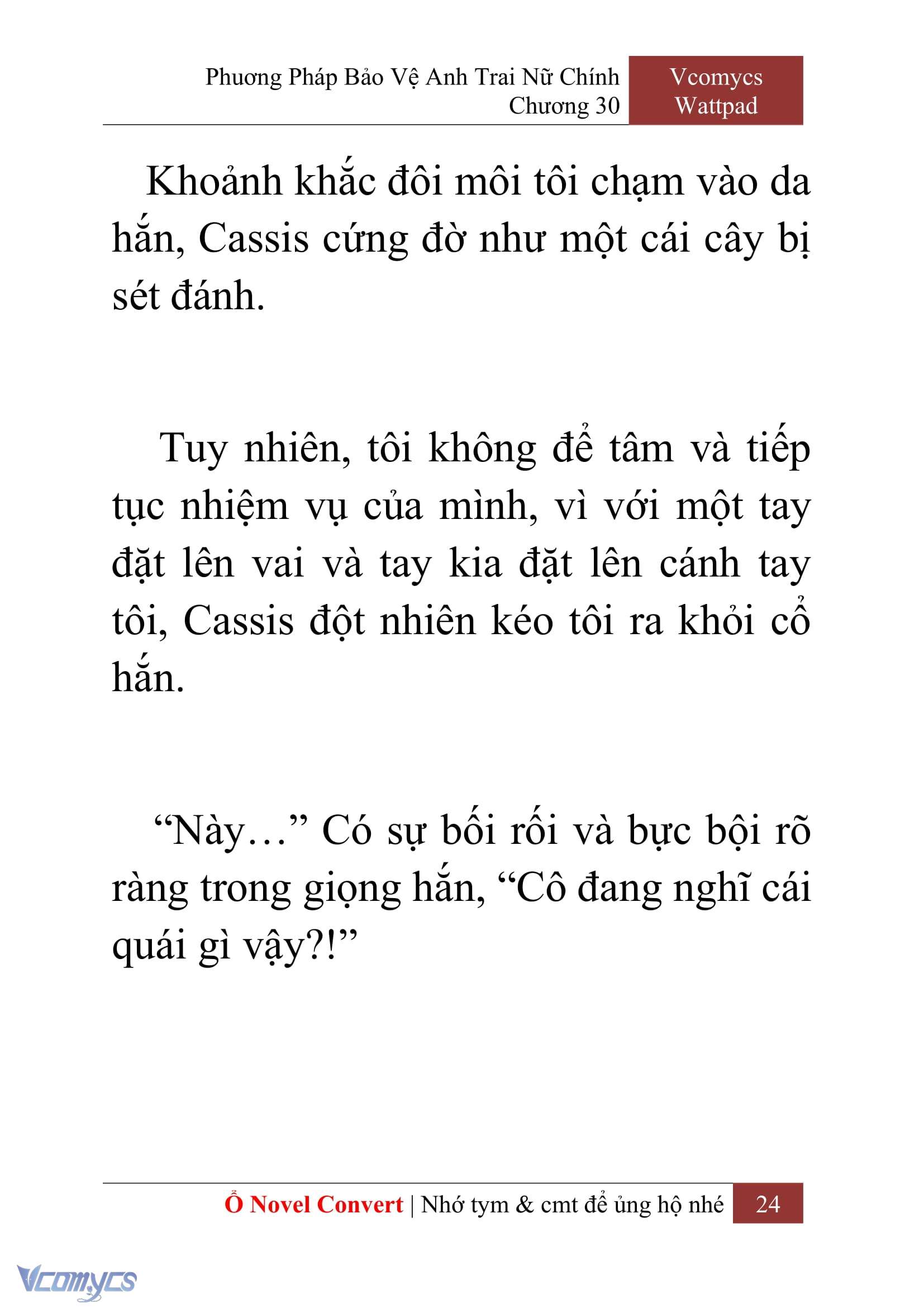 [Novel] Phương Pháp Bảo Vệ Anh Trai Nữ Chính Chap 30 - Trang 2