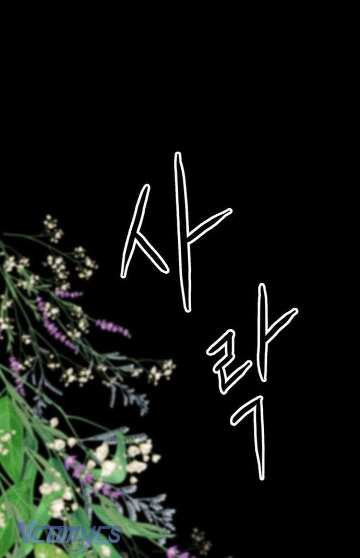 Hoàng Tử Rắc Rối Chap 29 - Trang 2