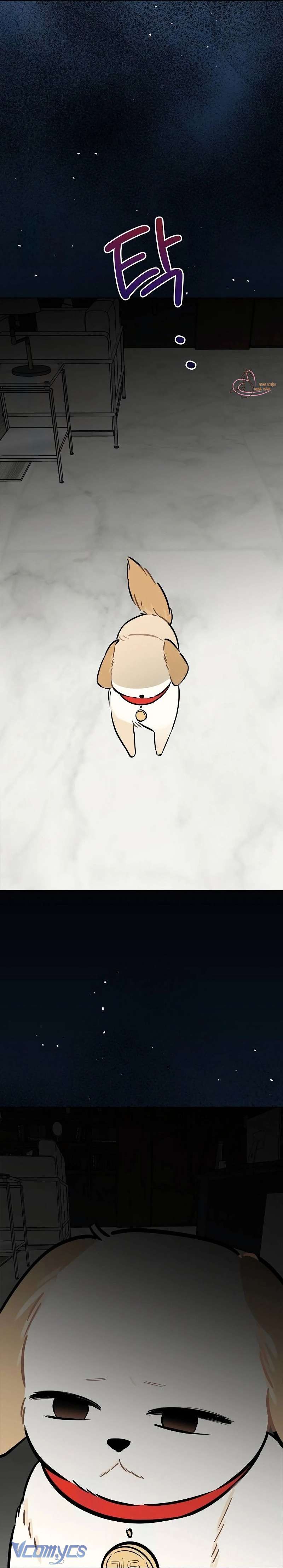 Sếp, Em Sẽ Trở Thành Cún Cưng Của Anh Chap 5 - Next Chap 6