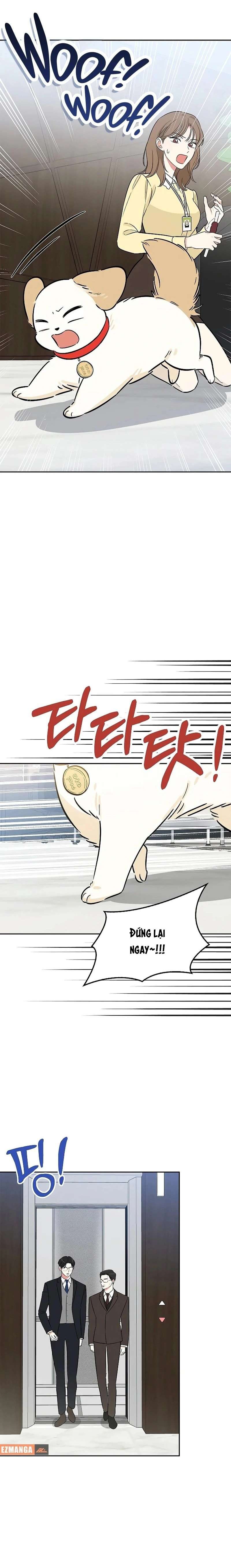 Sếp, Em Sẽ Trở Thành Cún Cưng Của Anh Chap 21 - Trang 2