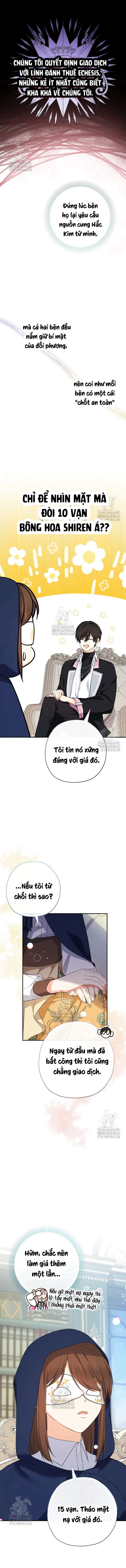 [PNT] Tiểu Thư Tích Tiền Đi Bụi Chap 94 - Trang 2