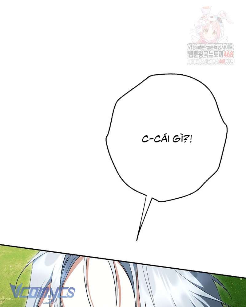 Các Nam Chính Đã Bị Nữ Phụ Cướp Mất Chap 62 - Trang 2