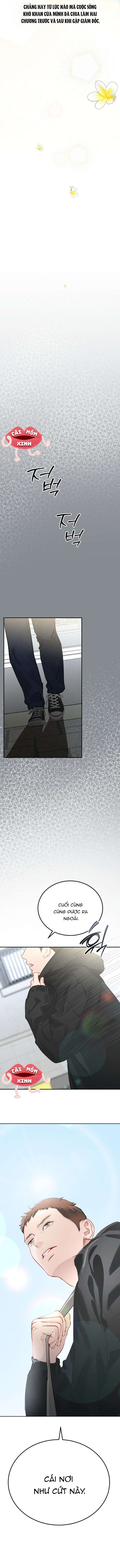 Văn Phòng Thư Ký Chap 33 - Trang 2