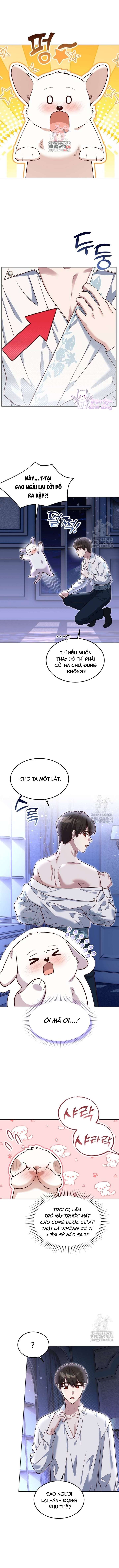 Chú Cún Cưng Của Hoàng Đế Chap 14 - Trang 4