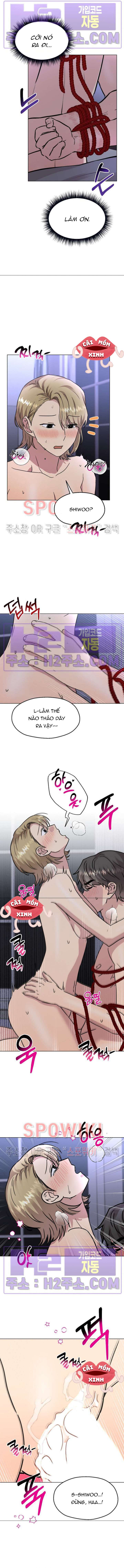 Twenty Nights Twenty Nights-Chap 18 - Trang 2