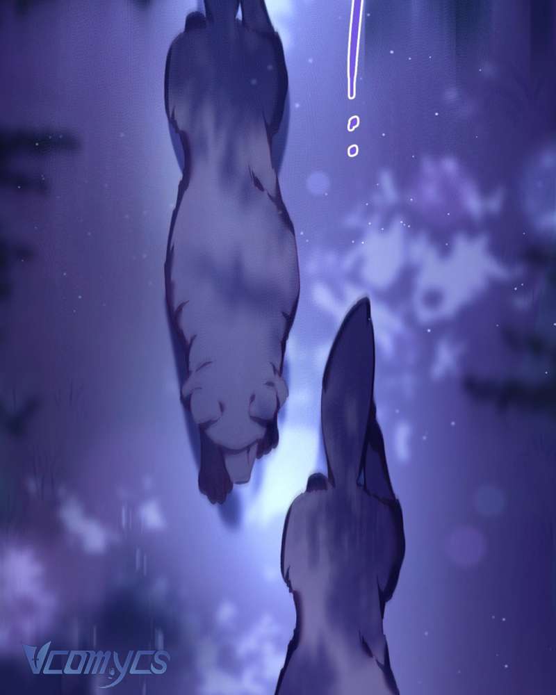 [Sứa Biển] Em Trai Tôi Là Hoàng Đế Ngang Ngược Chap 43 - Trang 2