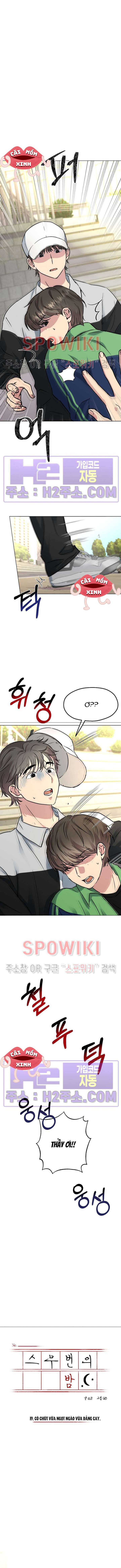 Twenty Nights Twenty Nights-Chap 19 - Trang 2