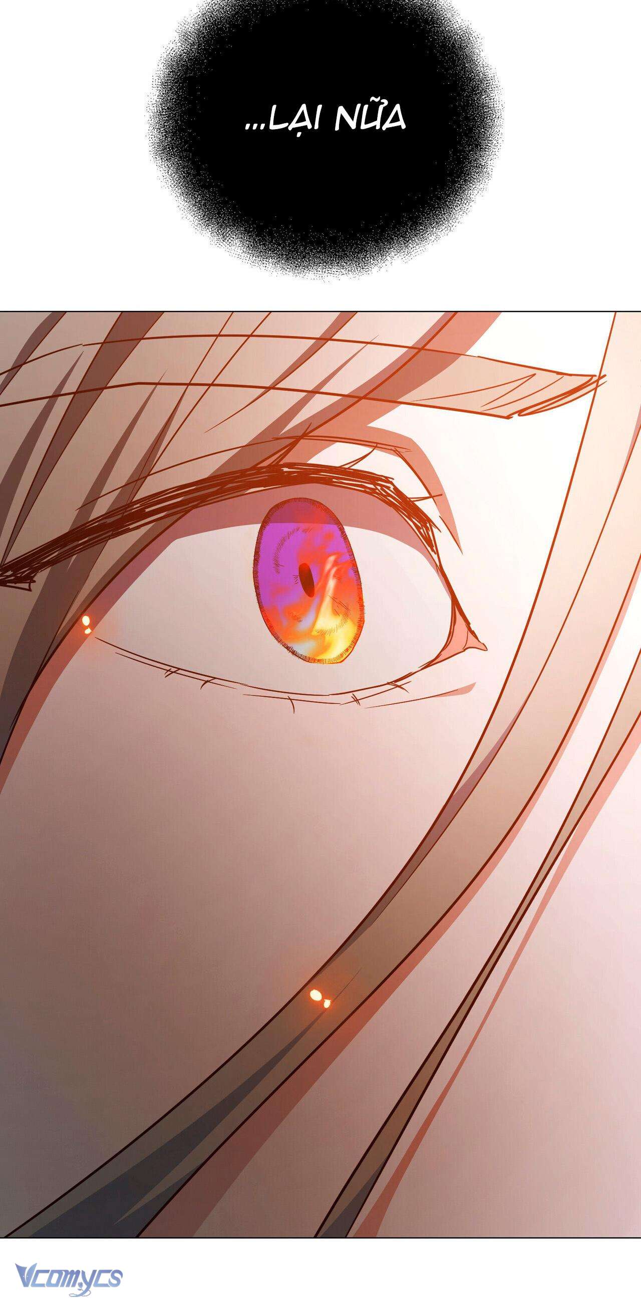 Kết Thúc Viên Mãn Không Cần Tình Yêu Chap 8 - Trang 3