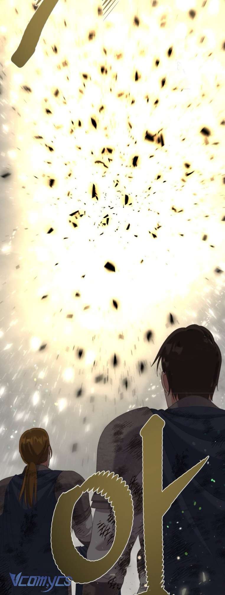 Sự Điều Trị Đặc Biệt Của Tinh Linh Chap 103 - Trang 4