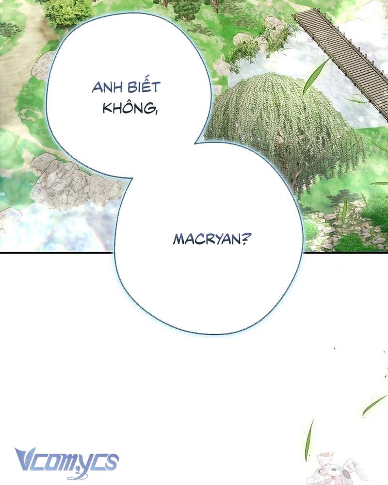 Các Nam Chính Đã Bị Nữ Phụ Cướp Mất Chap 62 - Trang 2