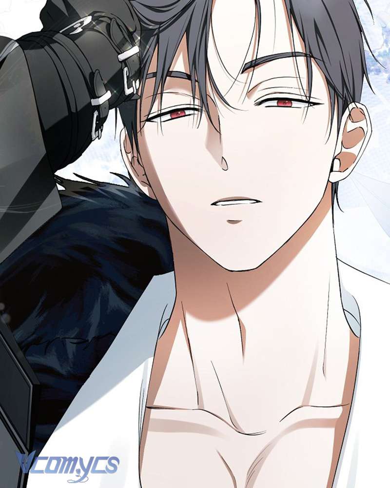 Các Nam Chính Đã Bị Nữ Phụ Cướp Mất Chap 59 - Trang 3