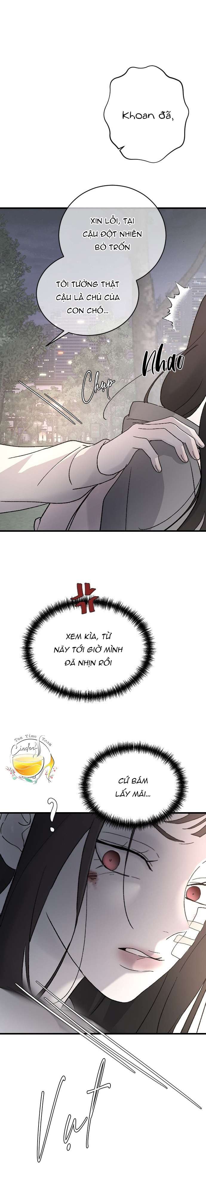 Ba Anh Trai Cực Phẩm Của Tôi Chap 99 - Trang 3