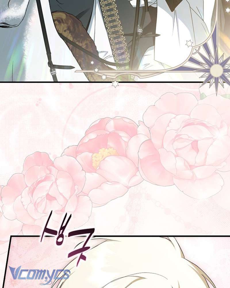 Các Nam Chính Đã Bị Nữ Phụ Cướp Mất Chap 59 - Trang 3