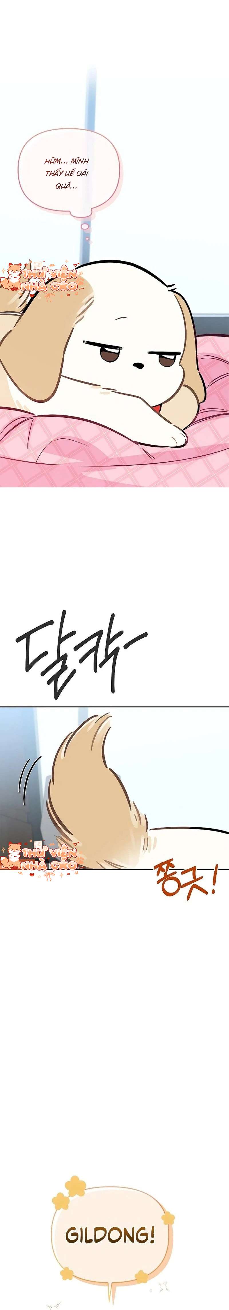 Sếp, Em Sẽ Trở Thành Cún Cưng Của Anh Chap 21 - Trang 2