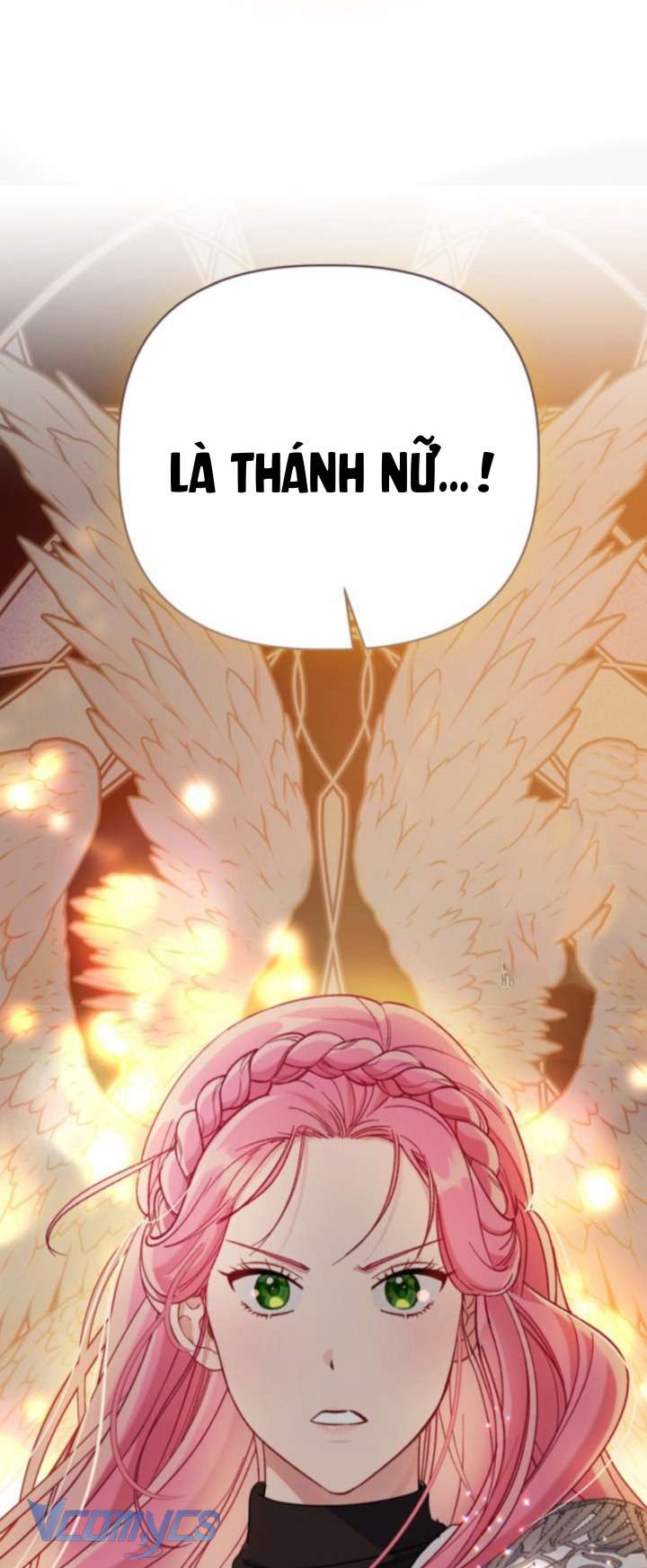 Sự Điều Trị Đặc Biệt Của Tinh Linh Chap 102 - Trang 4