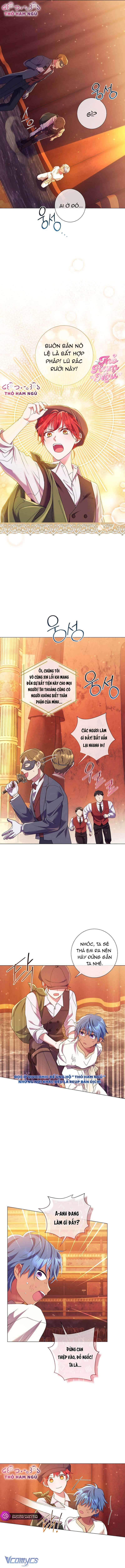 Sao Tôi Có Thể Li Hôn Khi Còn Chưa Kết Hôn Đây, Thưa Bệ Hạ Chap 10 - Trang 2