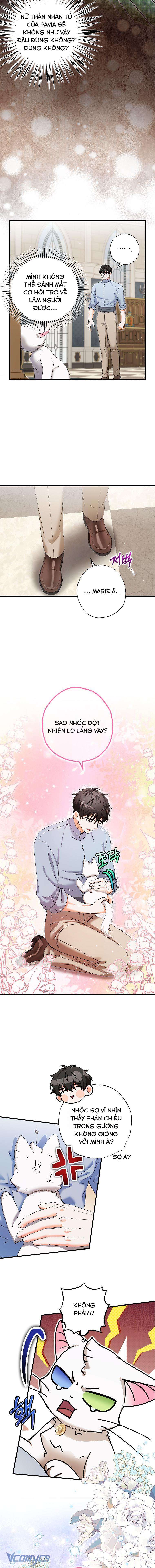 Trở Thành Miêu Nữ Của Hoàng Đế Chapter 22 - Trang 4