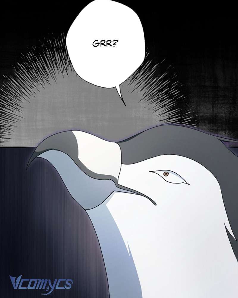 Các Nam Chính Đã Bị Nữ Phụ Cướp Mất Chap 60 - Trang 3