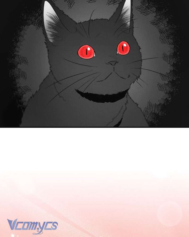 Tối Nay Tôi Là Người Được Cô Ấy Chọn Chap 2 - Trang 3