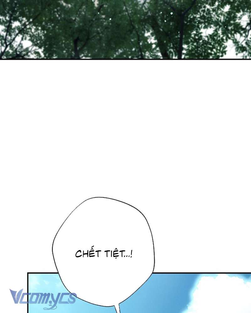 Các Nam Chính Đã Bị Nữ Phụ Cướp Mất Chap 60 - Trang 3