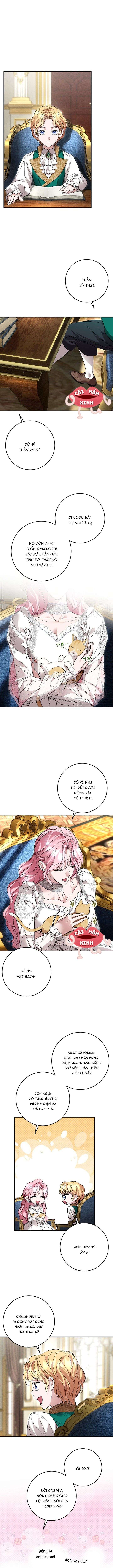 Cuộc Hôn Nhân Bị Bắt Cóc Xuyên Thời Gian Của Hoàng Hậu Chap 42 - Trang 2