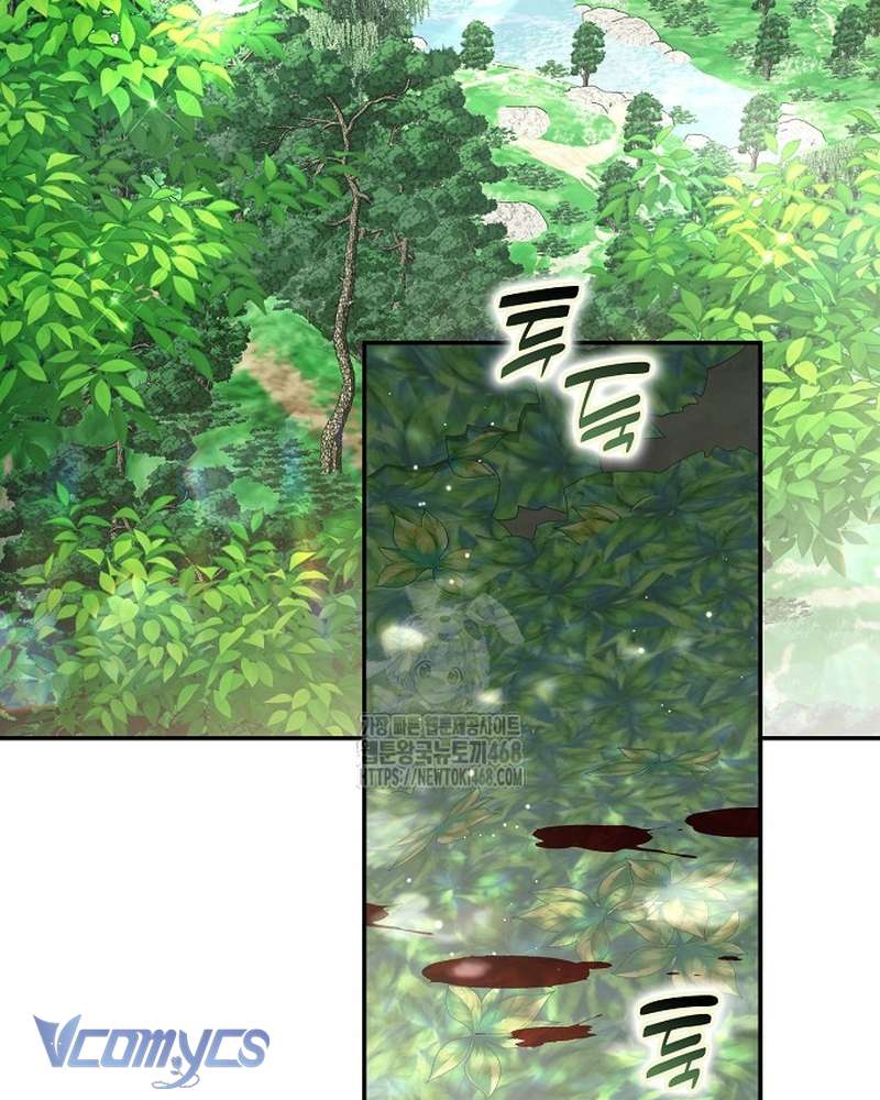 Các Nam Chính Đã Bị Nữ Phụ Cướp Mất Chap 62 - Trang 2