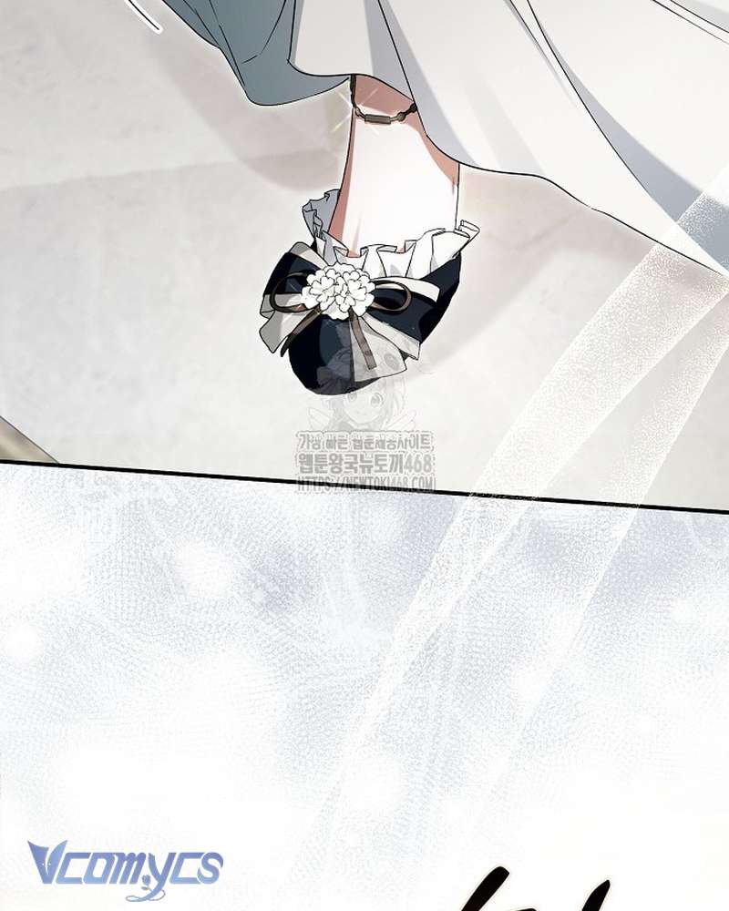 Các Nam Chính Đã Bị Nữ Phụ Cướp Mất Chap 65 - Trang 2