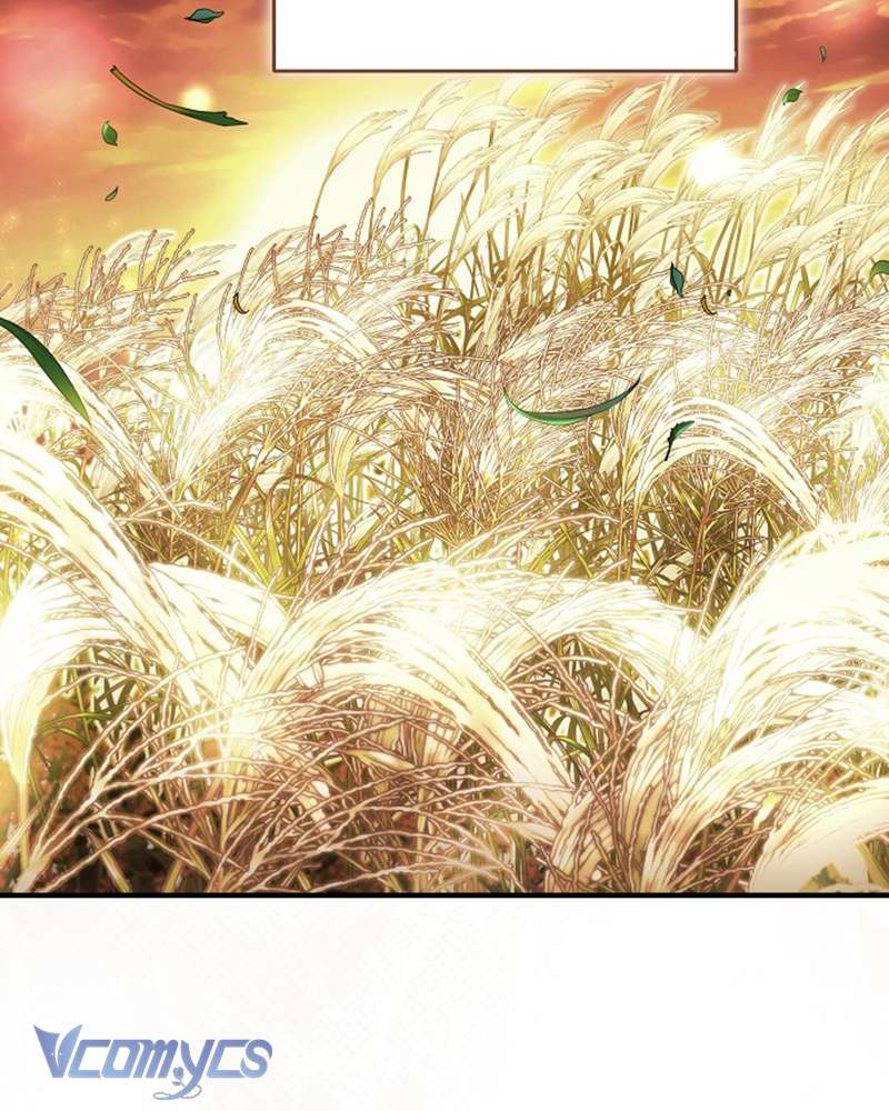 Các Nam Chính Đã Bị Nữ Phụ Cướp Mất Chap 55 - Trang 3