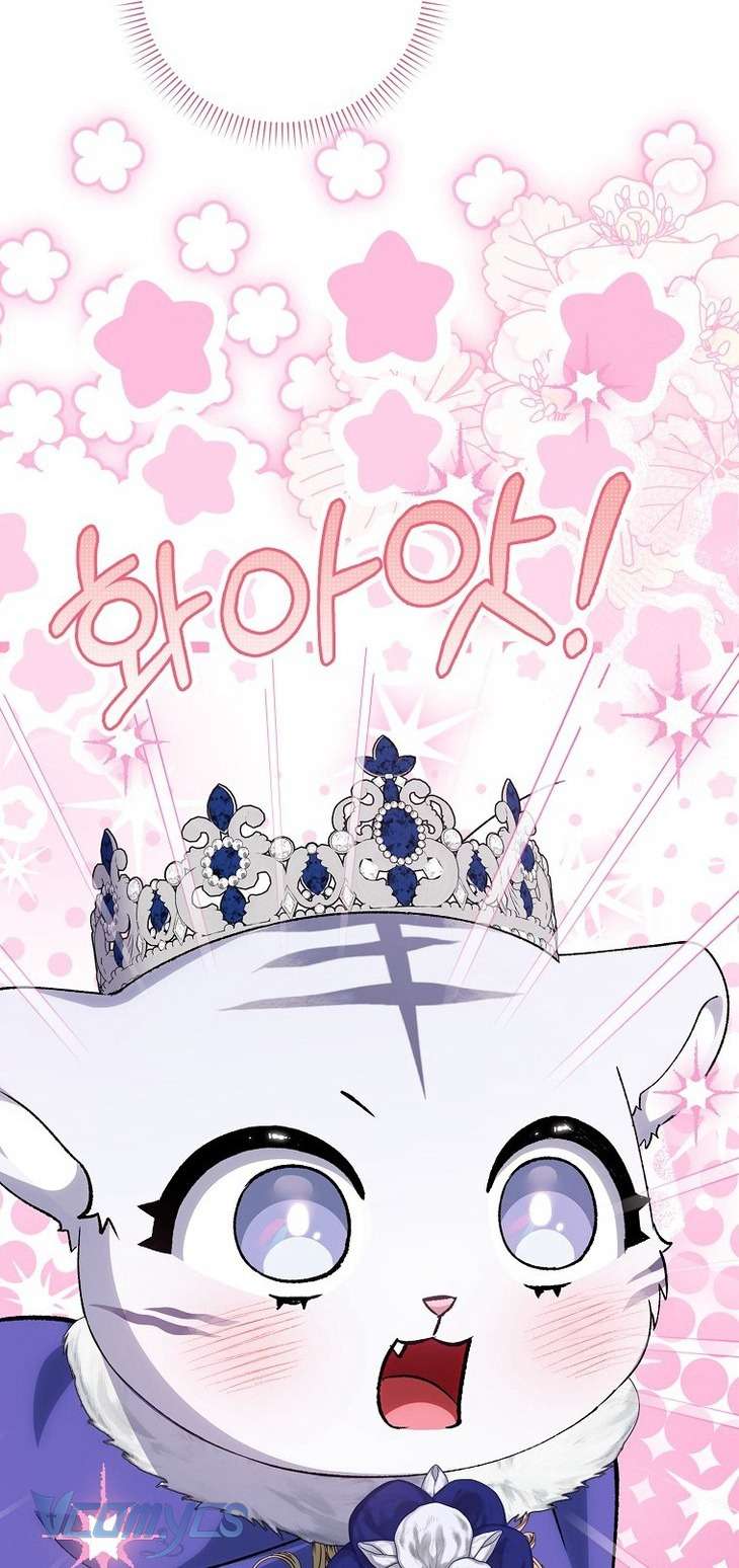 Công Chúa Bạch Hổ Không Có Nguy Hiểm Nha! Chap 11 - Trang 2