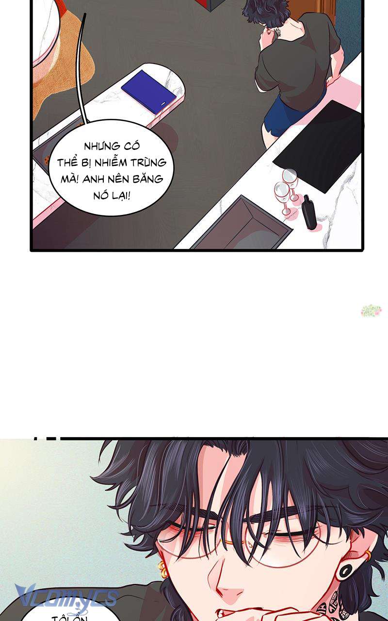 Chú Cún Dạo Bước Cùng Anh Chap 10 - Trang 2