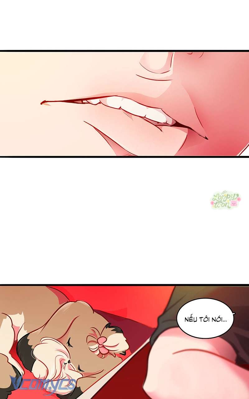 Chú Cún Dạo Bước Cùng Anh Chap 11 - Trang 2