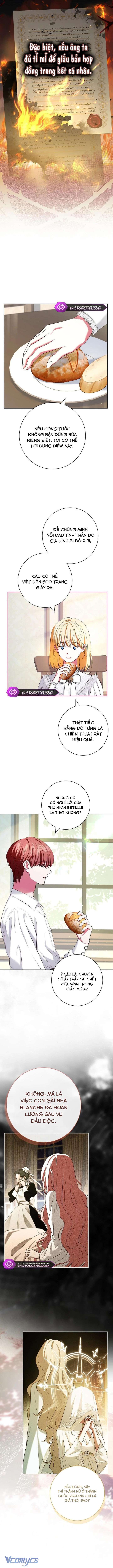 Hãy Để Luật Sư Chuyên Nghiệp Lo Chuyện Ly Hôn Chap 4 - Trang 2