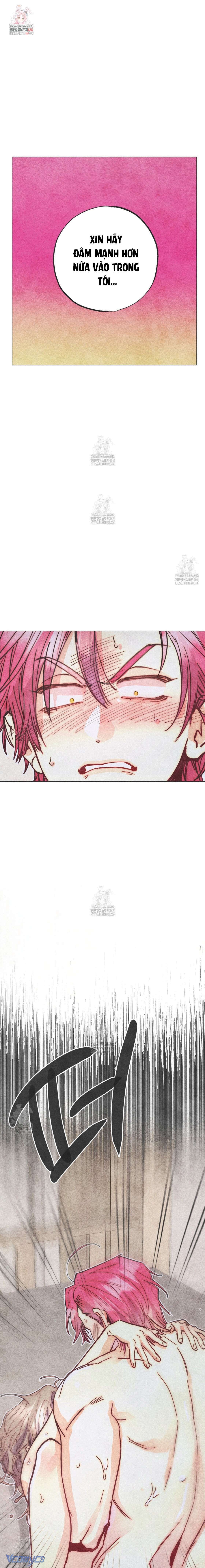 Thu Thập Đêm Đầu Tiên Của Các Nam Chính Chap 47 - Trang 3