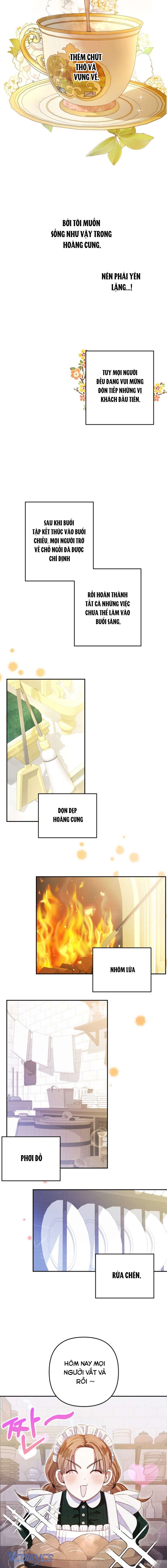 Trở Thành Hầu Gái Còn Hơn Làm Công Chúa Chap 3 - Trang 3