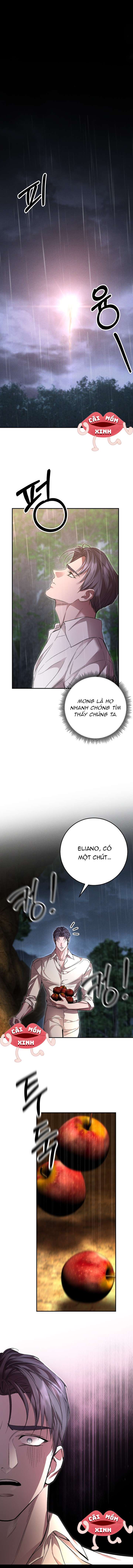 Cuộc Hôn Nhân Bị Bắt Cóc Xuyên Thời Gian Của Hoàng Hậu Chap 32 - Next Chap 33