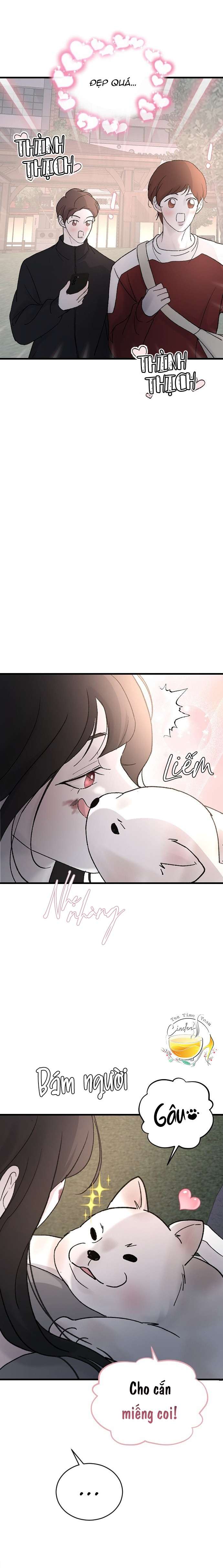 Ba Anh Trai Cực Phẩm Của Tôi Chap 99 - Trang 3